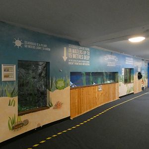 Seagrass Shores exhibit