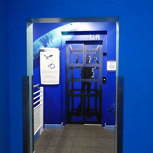 Themed Lift