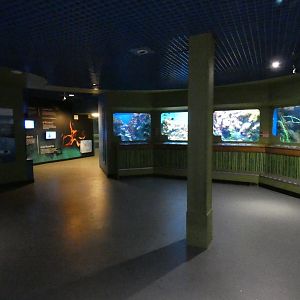 Biozones exhibit