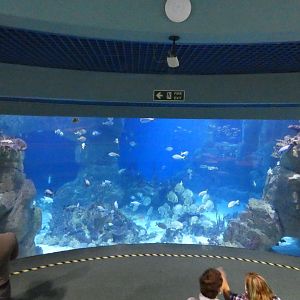 Great Barrier Reef exhibit