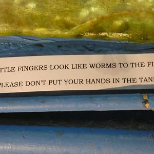 Signage (Fowey Aquarium)