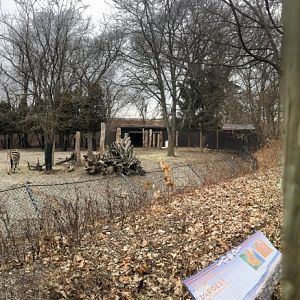 Zebra, Wildebeest and Watusi Enclosure Panorama - Feb, 2020