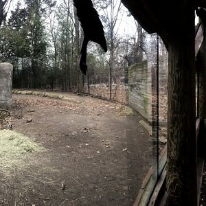 Cheetah Habitat Panorama - Feb, 2020