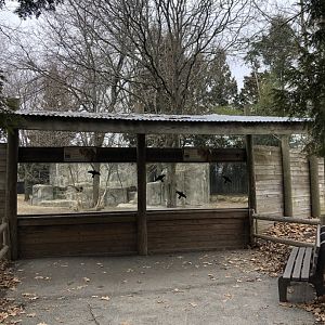 Cheetah Habitat Viewing (Right Side) - Feb, 2020