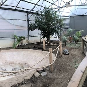 African Spurred Tortoise Winter Holding Panorama - Feb, 2020