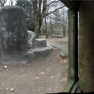 Cheetah Habitat Viewing (Left Side) Panorama - Feb, 2020