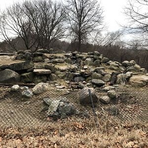 Aoudad Habitat - Feb, 2020