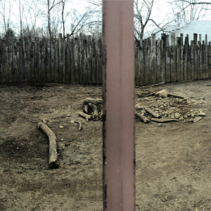 Red River Hog Habitat Panorama - Feb, 2020