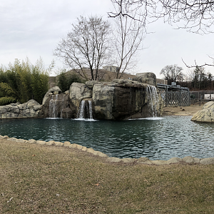 African Elephant Habitat (Left Side) - Feb, 2020