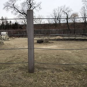 African Elephant Habitat (Mid Section) - Feb, 2020