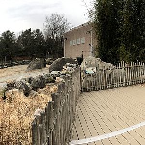 African Elephant/Masai Giraffe Viewing Platform Panorama - Feb, 2020