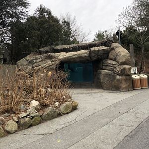 Harbor Seal Underwater Viewing - Feb, 2020