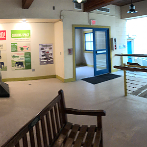 Textron Elephant/Giraffe Building Interior Panorama - Feb, 2020