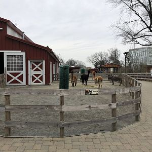 Alex and Ani Barnyard (Right Side) - Feb, 2020