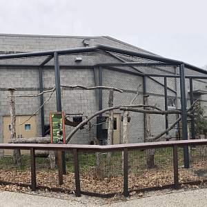 Monkey Outdoor Enclosure - Feb, 2020