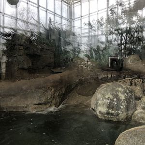 Giant Otter Habitat (Left Side) - Feb, 2020
