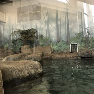 Giant Otter Habitat (Mid Section) - Feb, 2020