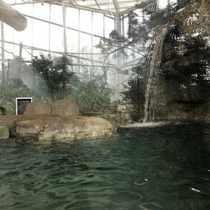 Giant Otter Habitat (Right Side) - Feb, 2020
