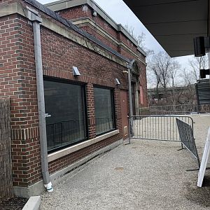 Giant Anteater Indoor Viewing - Feb, 2020