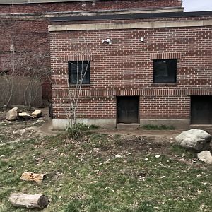 Giant Anteater Enclosure - Feb, 2020