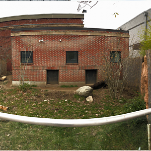 Giant Anteater Habitat Panorama - Feb, 2020