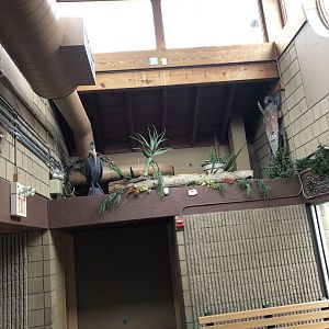 World of Adaptations Entrance Interior - Feb, 2020