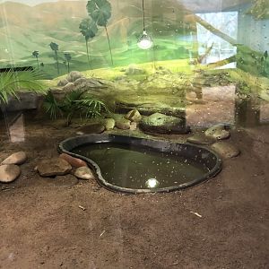 Komodo Dragon Habitat (Right) - Feb, 2020