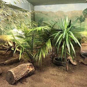 Komodo Dragon Habitat (Left) - Feb, 2020