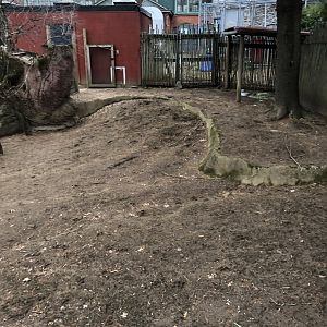 Bennett's Wallaby Enclosure - Feb, 2020