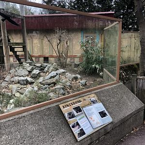 Binturong Enclosure Sign - Feb, 2020