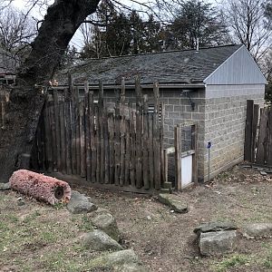 Babirusa Habitat (Right) - Feb, 2020