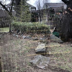 Babirusa Habitat (Mid) - Feb, 2020