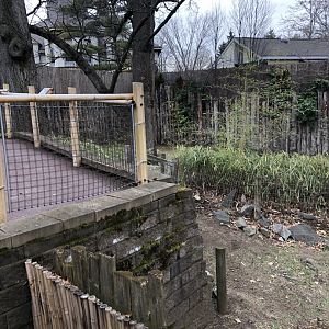 Babirusa Habitat (Left) - Feb, 2020
