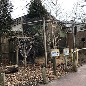Tawny and Kookaburra Cage - Feb, 2020