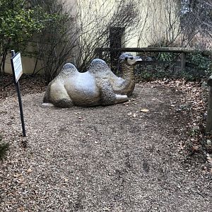 Marco Polo Camel Statue - Feb, 2020