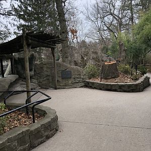 Moon Bear Viewing Platform 1 - Feb, 2020