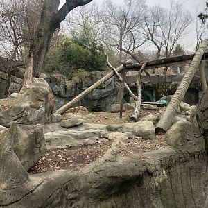 Moon Bear Habitat - Feb, 2020