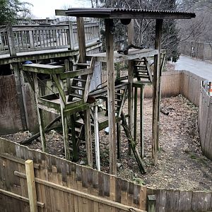 Red Panda Habitat - Feb, 2020