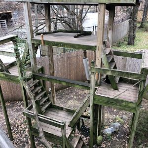 Red Panda Habitat - Feb, 2020