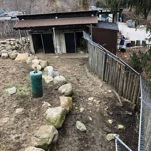 Takin Habitat (Right) - Feb, 2020