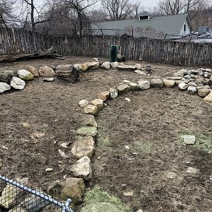 Takin Habitat (Mid Section) - Feb, 2020