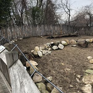 Takin Habitat (Left) - Feb, 2020