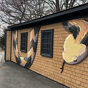 Snake Den Side View - Feb, 2020