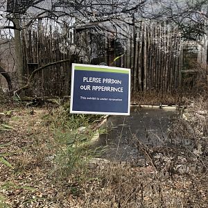 Beginning Demolition of old River Otter Habitat - Feb, 2020