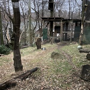 North American Porcupine Enclosure - Feb, 2020