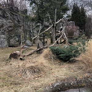 Eagle Habitat - Feb, 2020