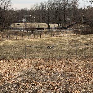 Pronghorn Habitat - Feb, 2020