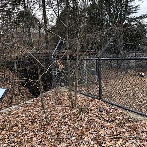 Red Wolf Habitat (Left) - Feb, 2020