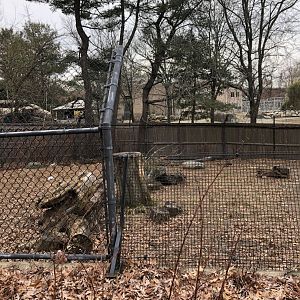 Red Wolf Habitat (Mid) - Feb, 2020