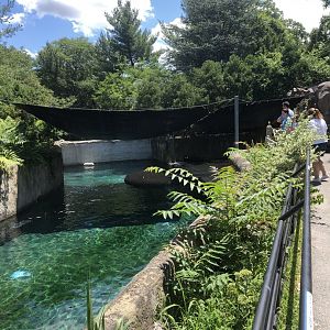 Harbor Seal Habitat - July, 2020